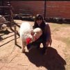 Mila, 44 years old, Straight, Lima, Lima Province, Peru
