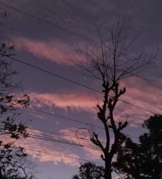 Yoana, 28 years old, Bisexual, Woman, San Francisco, El Salvador