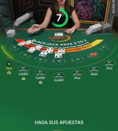 Bibi, 27 years old, Straight, Woman, Puerto Montt, Chile