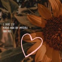 Kathy, 40 years old, StraightValledupar, Colombia