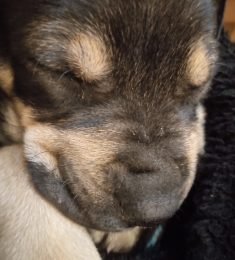 Nat, 33 years old, Straight, Woman, Barranqueras, Argentina