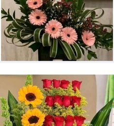 Rina Consuelo Rocha, 57 years old, Straight, Woman, Masaya, Nicaragua