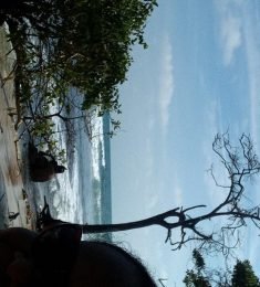 Ksik29, 51 years old, Straight, Woman, Cartagena, Colombia