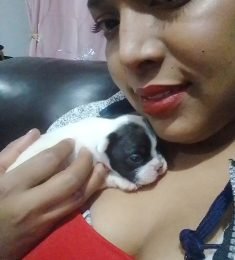 Yaidelin, 31 years old, Straight, Woman, Huacho, Peru