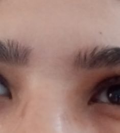 Evelyn, 40 years old, Straight, Woman, Tegucigalpa, Honduras