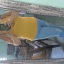 Kiuris, 47 years old, Holguin, Cuba