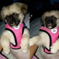 Katerine, 23 years old, StraightGuantanamo, Cuba