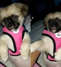 Katerine, 23 years old, Straight, Woman, Guantanamo, Cuba