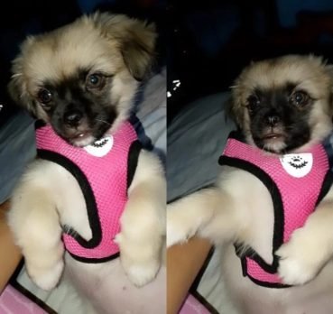 Katerine, 22 years old, Guantanamo, Cuba