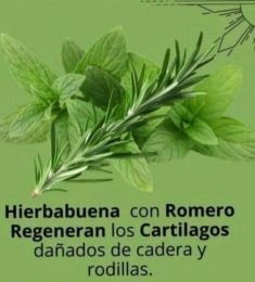 Mares lindos, 40 years old, Straight, Man, Andes, Colombia