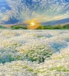 Ninibeth, 48 years old, Bisexual, Man, Dresden, Germany