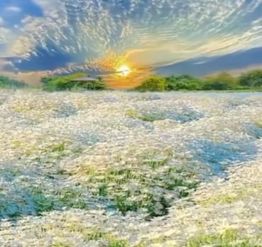 Ninibeth, 48 years old, Dresden, Germany